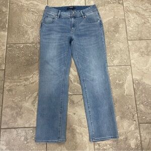 Hudson Women’s Straight Icy Blue‎ Button Back Pocket H0524-01 jeans sz 10